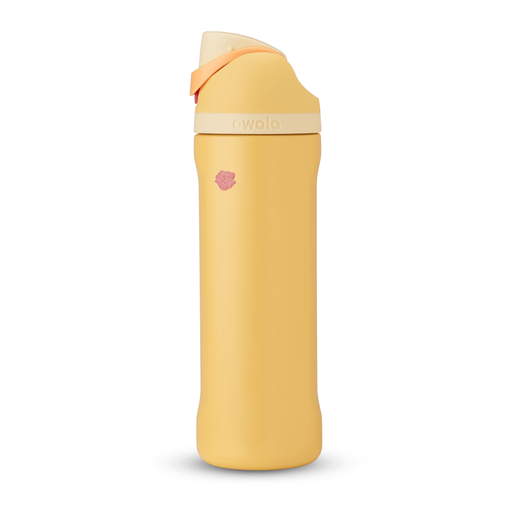 Disney Princess Collection - Carry Water With Confidence