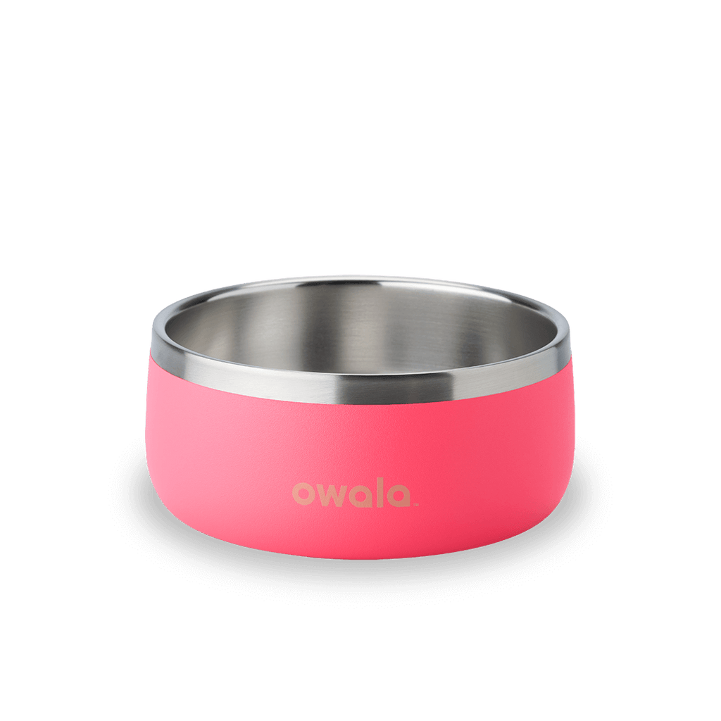 Pet Bowl - Your Everyday Refill Partner
