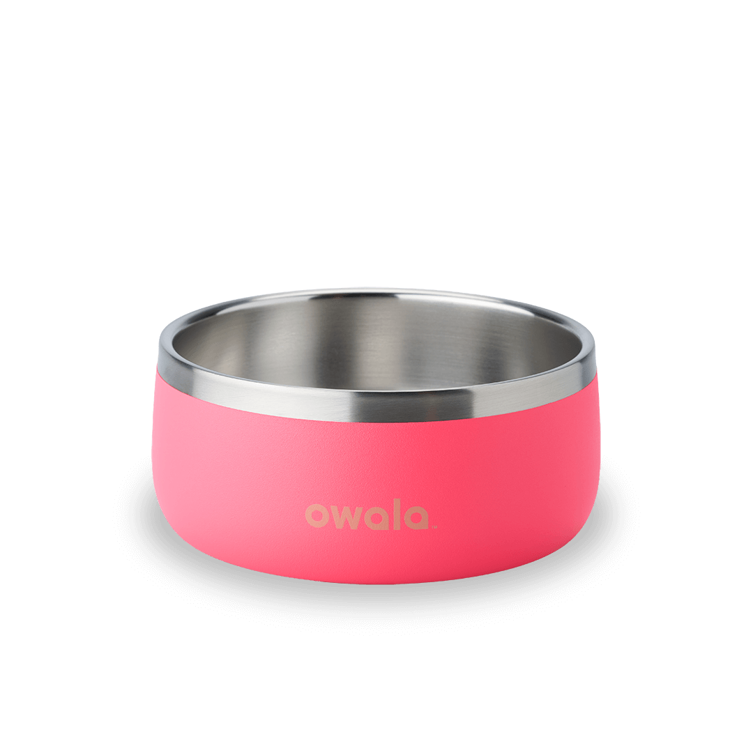 Pet Bowl - Your Everyday Refill Partner