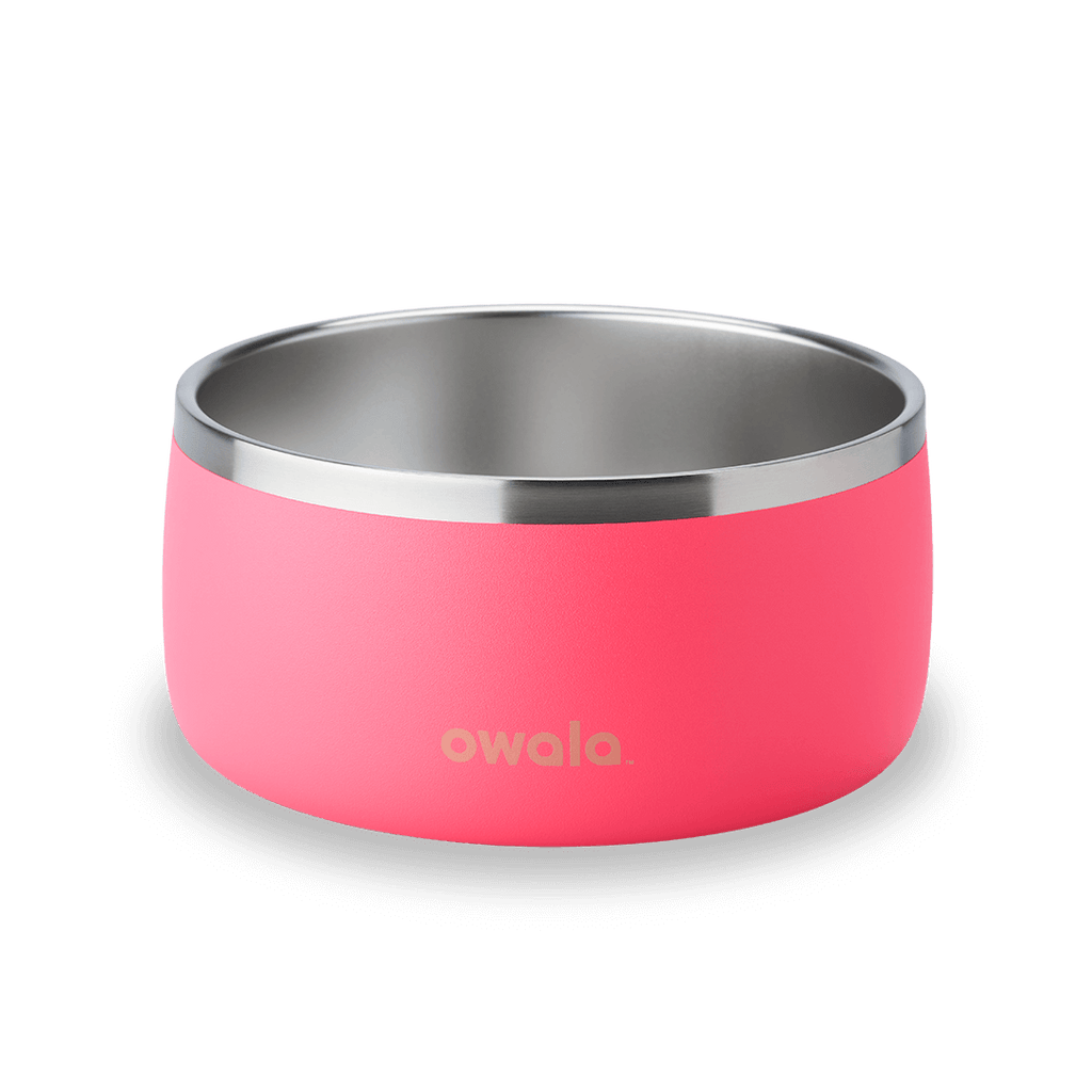 Pet Bowl - Your Everyday Refill Partner