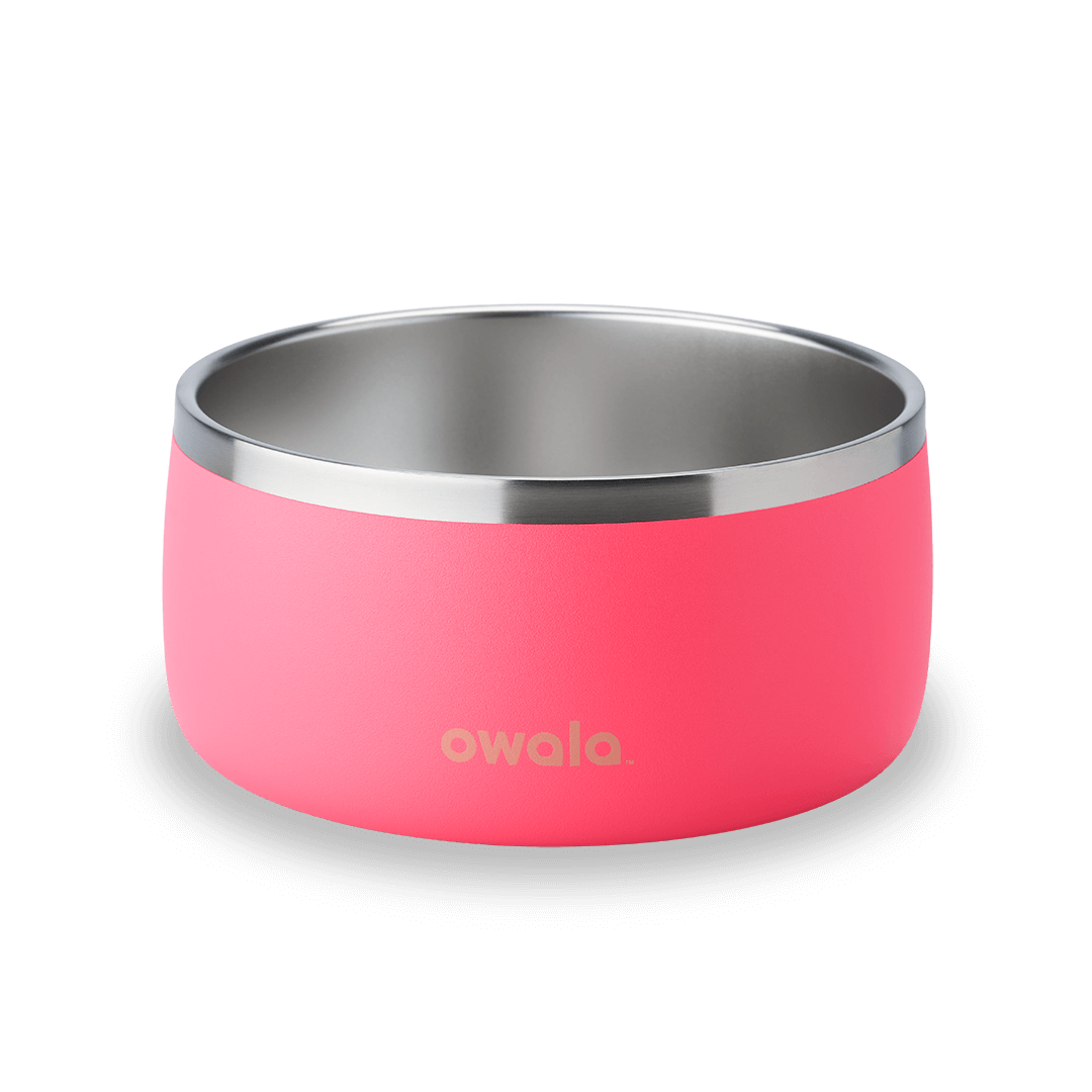 Pet Bowl - Your Everyday Refill Partner